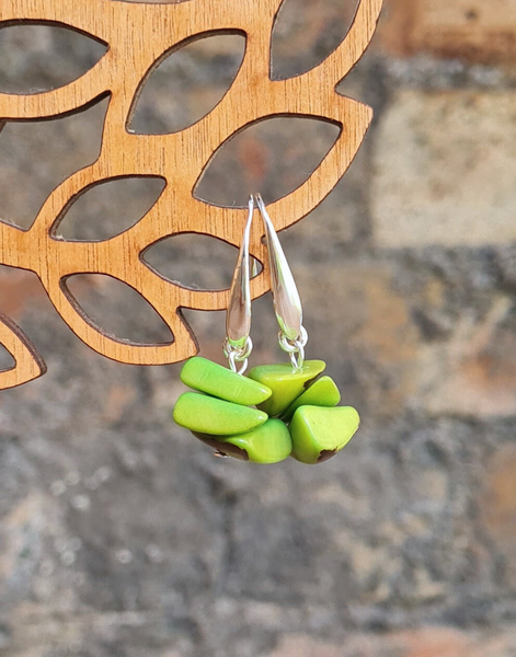 Deca Tagua Earrings