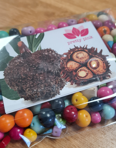 Assorted Seeds Bundle - Acai and Tagua Nuts