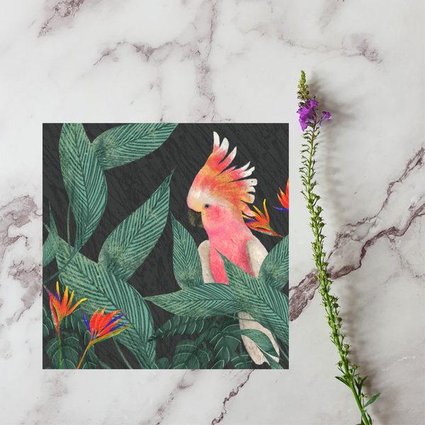 Cockatoo - greeting card blank inside - Pretty Pink Jewellery