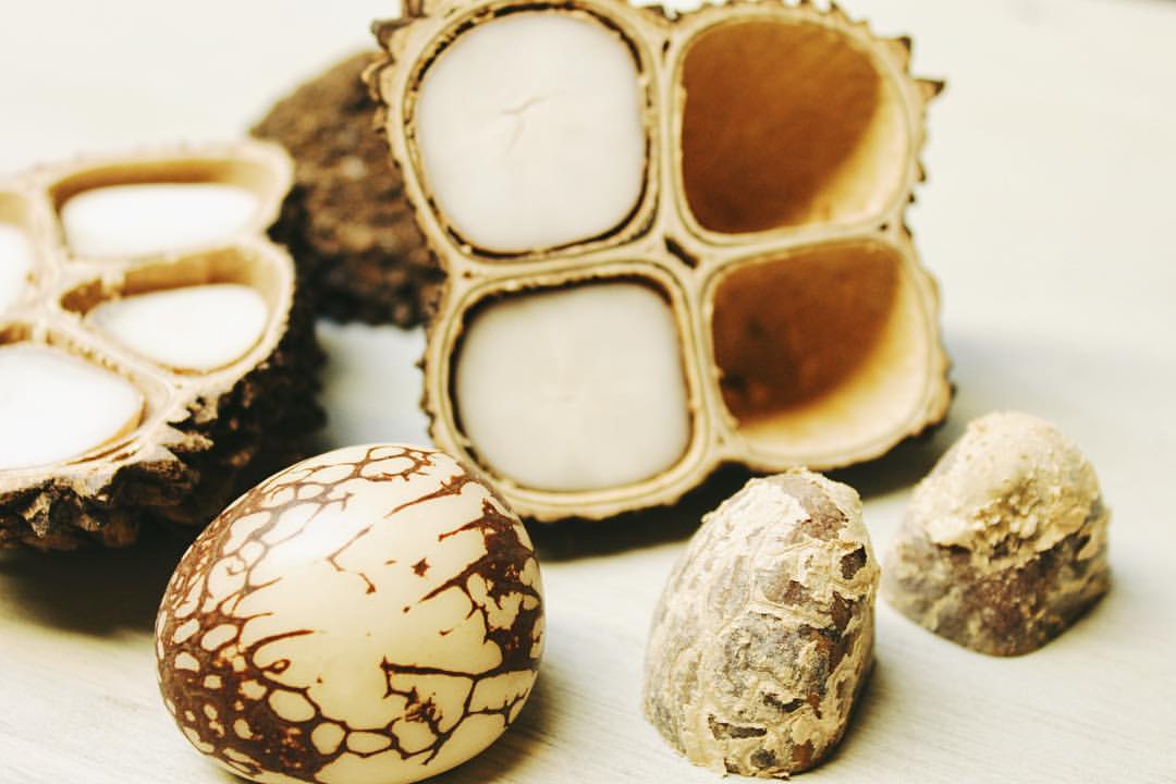 Tagua ‘Vegetable Ivory’ The Perfect All Natural Material for Eco Friendly Jewellery