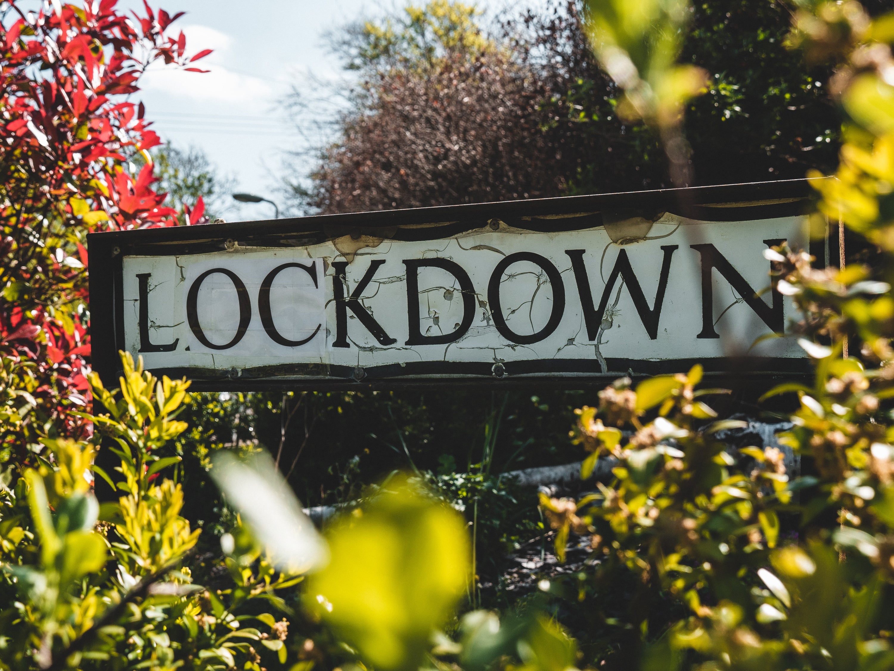 lockdown learnings, sustainable living
