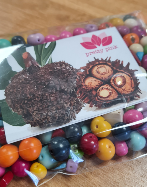 Assorted seeds bundle - Acai and tagua Nuts