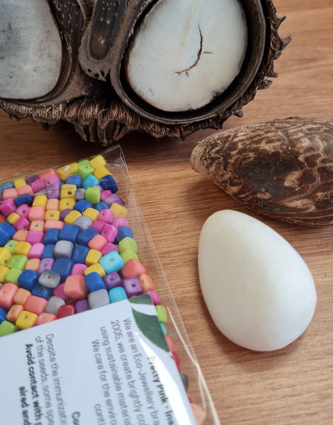Assorted Tiny Hand-cut Tagua Square Seeds Pack